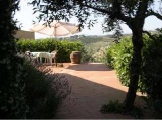 Agriturismo Bio Fattoria Bacio Certaldo Zewnętrze zdjęcie
